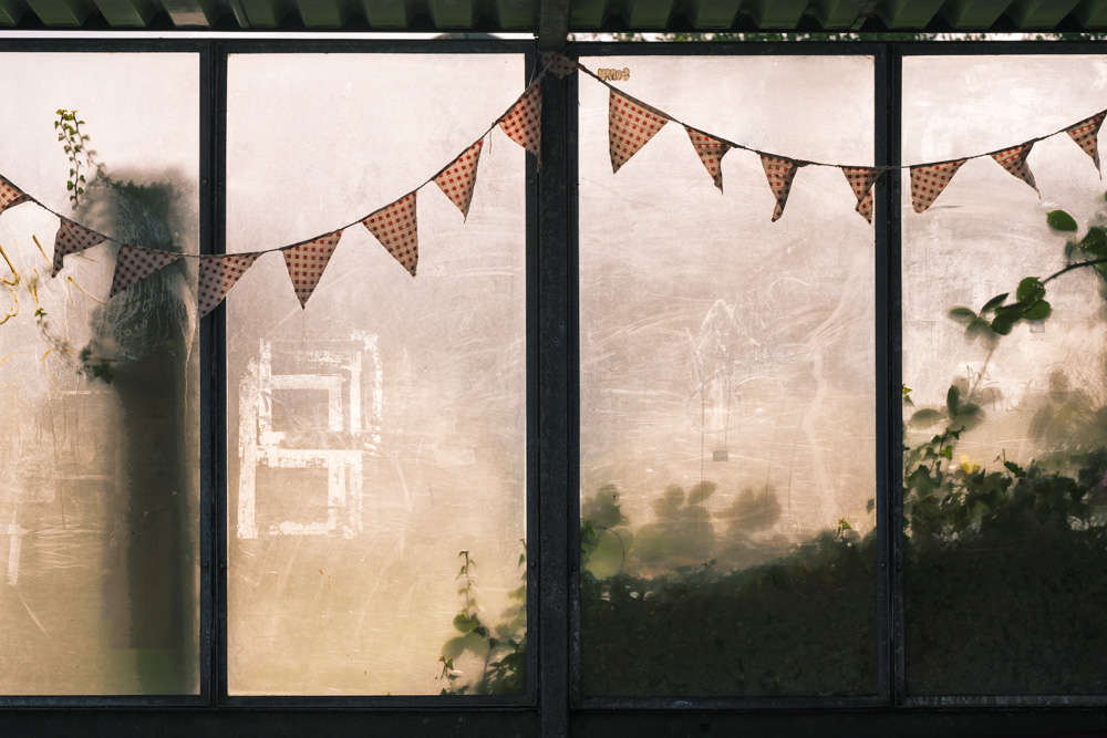 Bunting in the bardo, St. Ives, Cornwall. 2021.