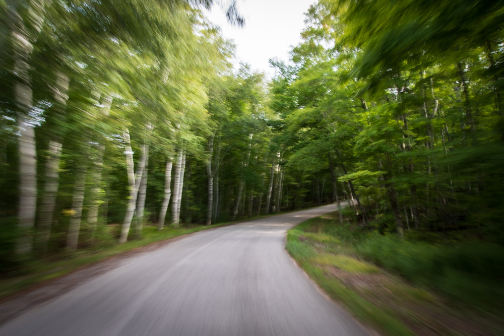 Cycling, north woods. 2019.